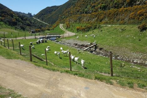 Photo of property in 260 Southernthread Road, Brooklyn, Wellington, 6021