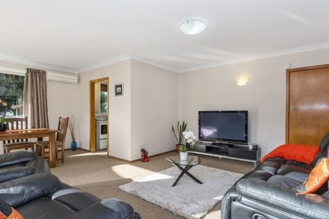 Photo of property in 241a Maungatapu Road, Maungatapu, Tauranga, 3112