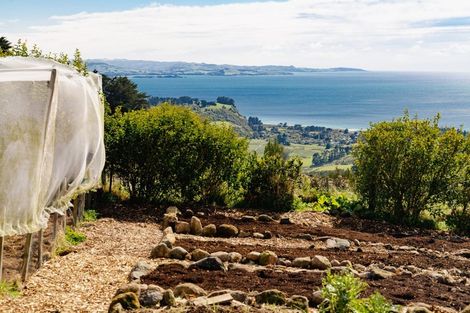 Photo of property in 162 Purakaunui Road, Mihiwaka, Port Chalmers, 9081