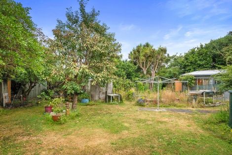 Photo of property in 22 Mckenzie Street, Levin, 5510