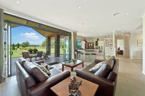 Photo of property in 241 Bellevue Road, Matangi, Hamilton, 3284