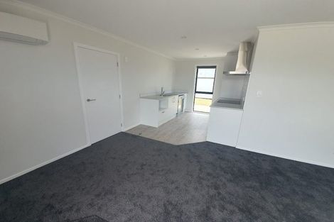 Photo of property in 97 Hinemoa Street, Levin, 5510