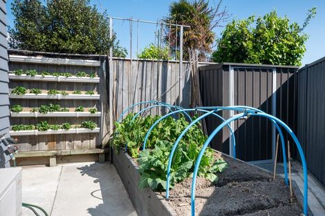 Photo of property in 5a Guthrie Road, Havelock North, 4130