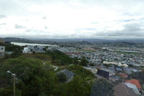 Photo of property in 53 Sutherland Road, Melrose, Wellington, 6023