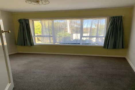 Photo of property in 46 Sylvan Street, Hillmorton, Christchurch, 8024