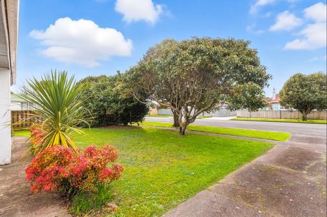 Photo of property in 45 Duke Street, Levin, 5510