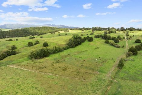 Photo of property in 53 Nursery Lane, Papamoa, 3118