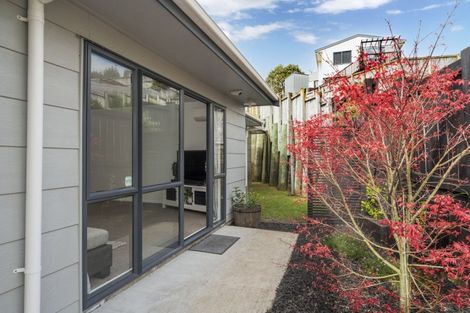 Photo of property in 125c Mansels Road, Parkvale, Tauranga, 3112