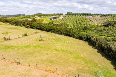 Photo of property in 399 King Road, Mangawhai, Kaiwaka, 0573