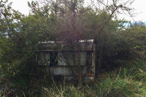 Photo of property in 20 Horncastle Crescent, Little Wanganui, Karamea, 7893