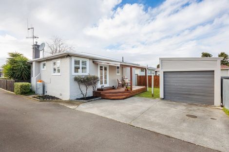 Photo of property in 19 Salisbury Avenue, Terrace End, Palmerston North, 4410