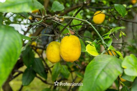 Photo of property in 3 Alleys Way, Ebdentown, Upper Hutt, 5018