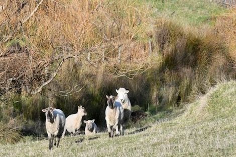 Photo of property in 1146 Brighton Road, Brighton, Dunedin, 9035