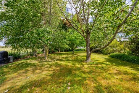 Photo of property in 37 Ellison Street, Otane, 4202