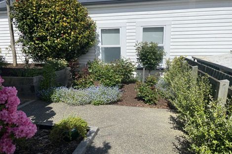 Photo of property in 29b Butler Street, Maori Hill, Dunedin, 9010