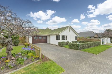 Photo of property in 624 York Street, Mahora, Hastings, 4120