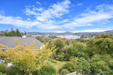 Photo of property in 33 Elliffe Place, Shiel Hill, Dunedin, 9013