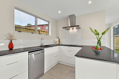 Photo of property in 55 O'meara Street, Swanson, Auckland, 0614