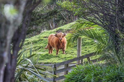 Photo of property in 12 Gladys Scott Place, Tawa, Wellington, 5028