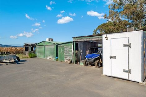 Photo of property in 268 Matawai Road, Waerengaahika, Gisborne, 4071