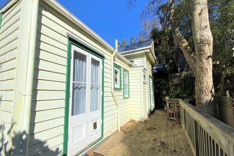 Photo of property in 4 Niger Street, Grey Lynn, Auckland, 1021