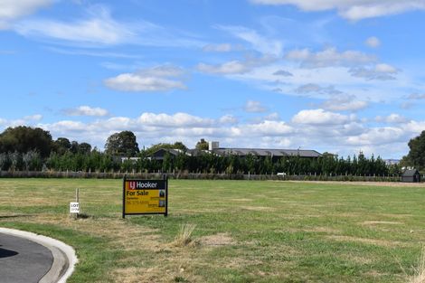 Photo of property in 19 Mill Grove, Clareville, Carterton, 5713