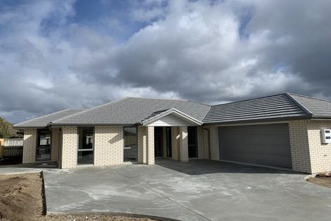 Photo of property in 199 Borman Road, Rototuna North, Hamilton, 3210