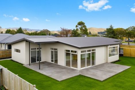 Photo of property in 233 Taylor Pass Road, Witherlea, Blenheim, 7201