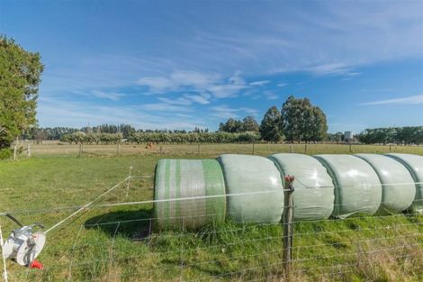 Photo of property in 485 Broad Road, Sefton, Rangiora, 7477