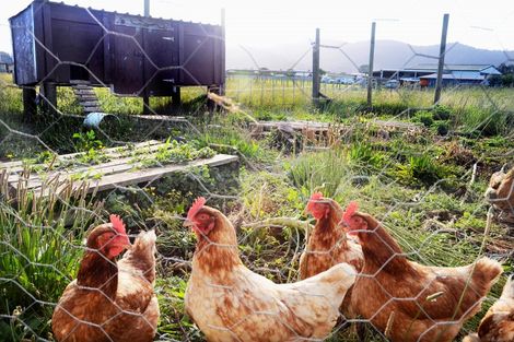 Photo of property in 136c Starr Road, Ngaruawahia, Taupiri, 3791