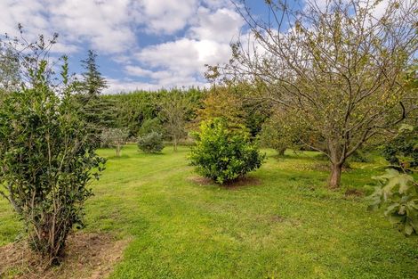 Photo of property in 210 Bruce Road, Levin, 5510