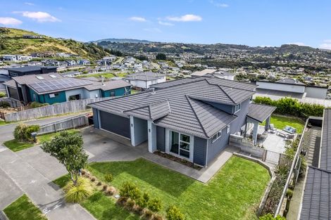 Photo of property in 105 Endeavour Drive, Whitby, Porirua, 5024