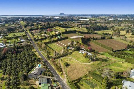 Photo of property in 14 Snodgrass Road, Te Puna, Tauranga, 3174