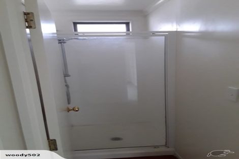 Photo of property in 217 Dey Street, Hamilton East, Hamilton, 3216