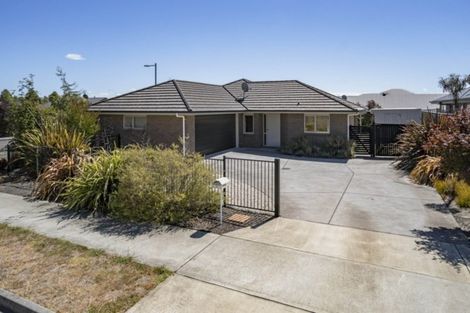 Photo of property in 1 Mcauley Street, Richmond, 7020