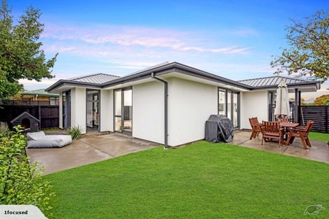 Photo of property in 184 Barrington Street, Somerfield, Christchurch, 8024