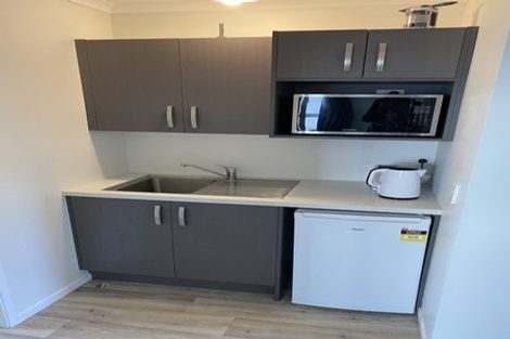 Photo of property in 103 Aurora Terrace, Hillcrest, Hamilton, 3216