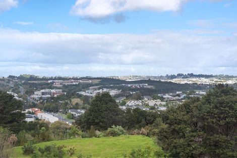 Photo of property in 20 Stevensons Crescent, Albany Heights, Auckland, 0793