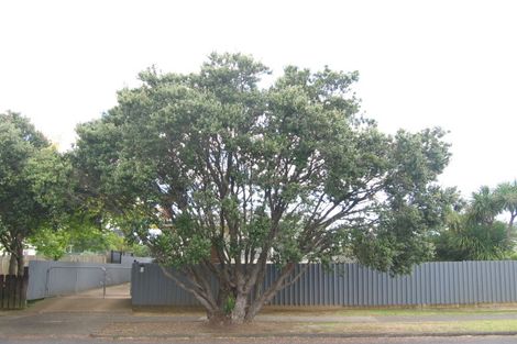 Photo of property in 45 Hutton Street, Otahuhu, Auckland, 1062