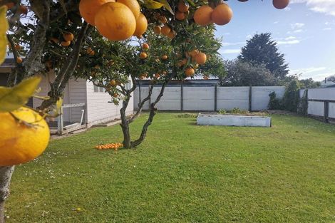 Photo of property in 26 Clyde Road, Wairoa, 4108