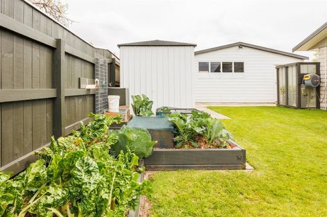 Photo of property in 19 Armagh Terrace, Marton, 4710