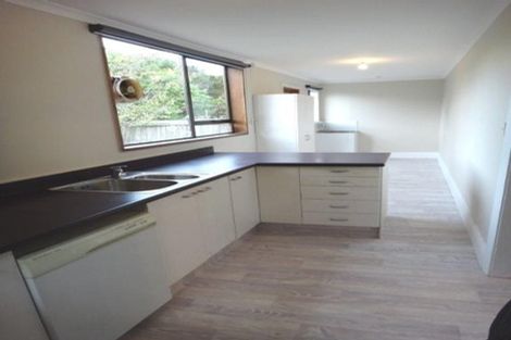 Photo of property in 1/15 Newcastle Street, Phillipstown, Christchurch, 8011