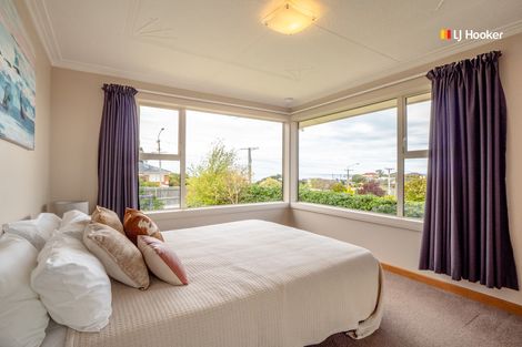 Photo of property in 221 Highcliff Road, Shiel Hill, Dunedin, 9013