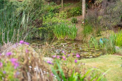 Photo of property in 8375 State Highway 2, Waikino, Waihi, 3682