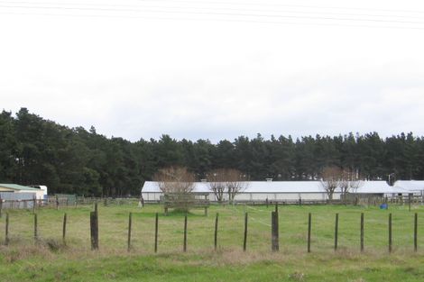 Photo of property in 31 Bergin Road Foxton Horowhenua District
