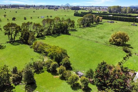 Photo of property in 122 Otakiri Road, Edgecumbe, Whakatane, 3192