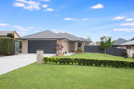 Photo of property in 9 Maple Place, Morrinsville, 3300