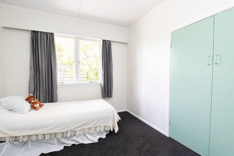 Photo of property in 21 Hayward Road, Ngatea, 3503