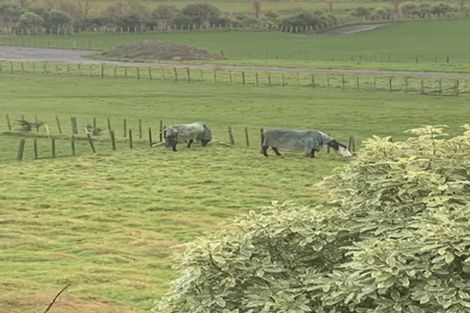 Photo of property in 6 Grace Street North, Sanson, 4817