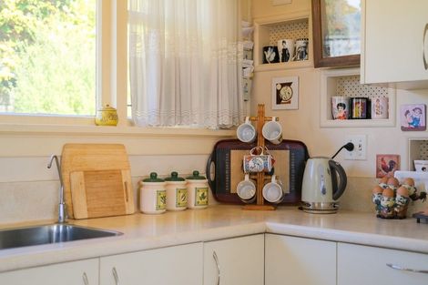 Photo of property in 28 College Street, Caversham, Dunedin, 9012